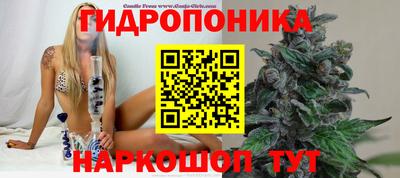 хмурый Лесосибирск