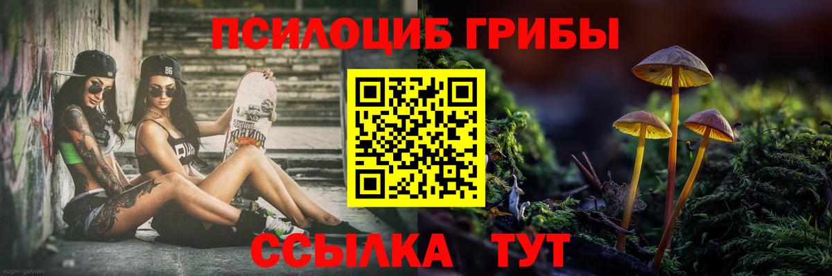 Урус-Мартан  Галлюциногенные грибы Cubensis  Вход с VPN 